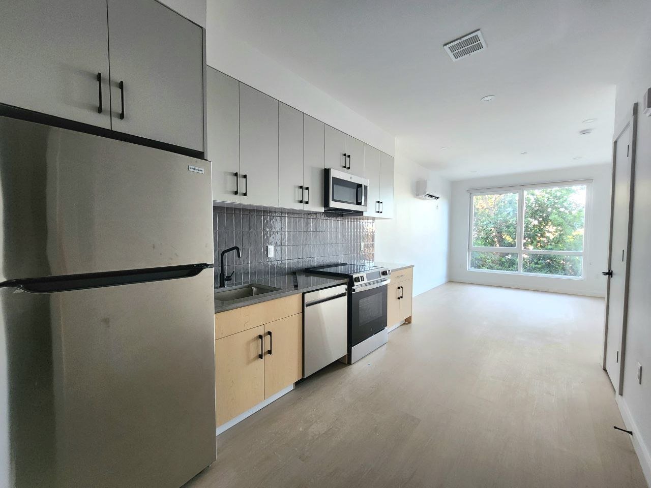 Newark Apartment: 75 webster st