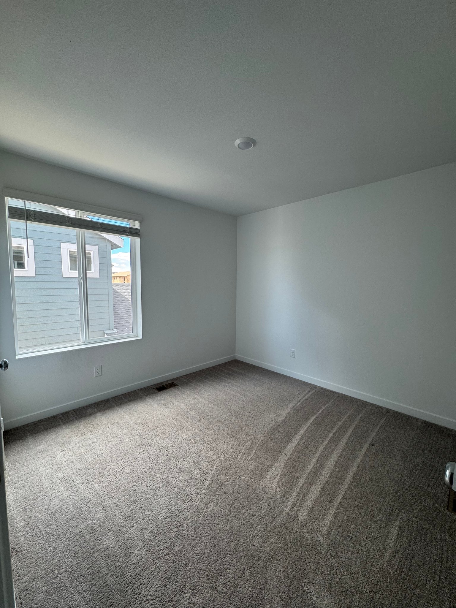 Colorado Springs Single Room: 9156 Percheron Pony Dr