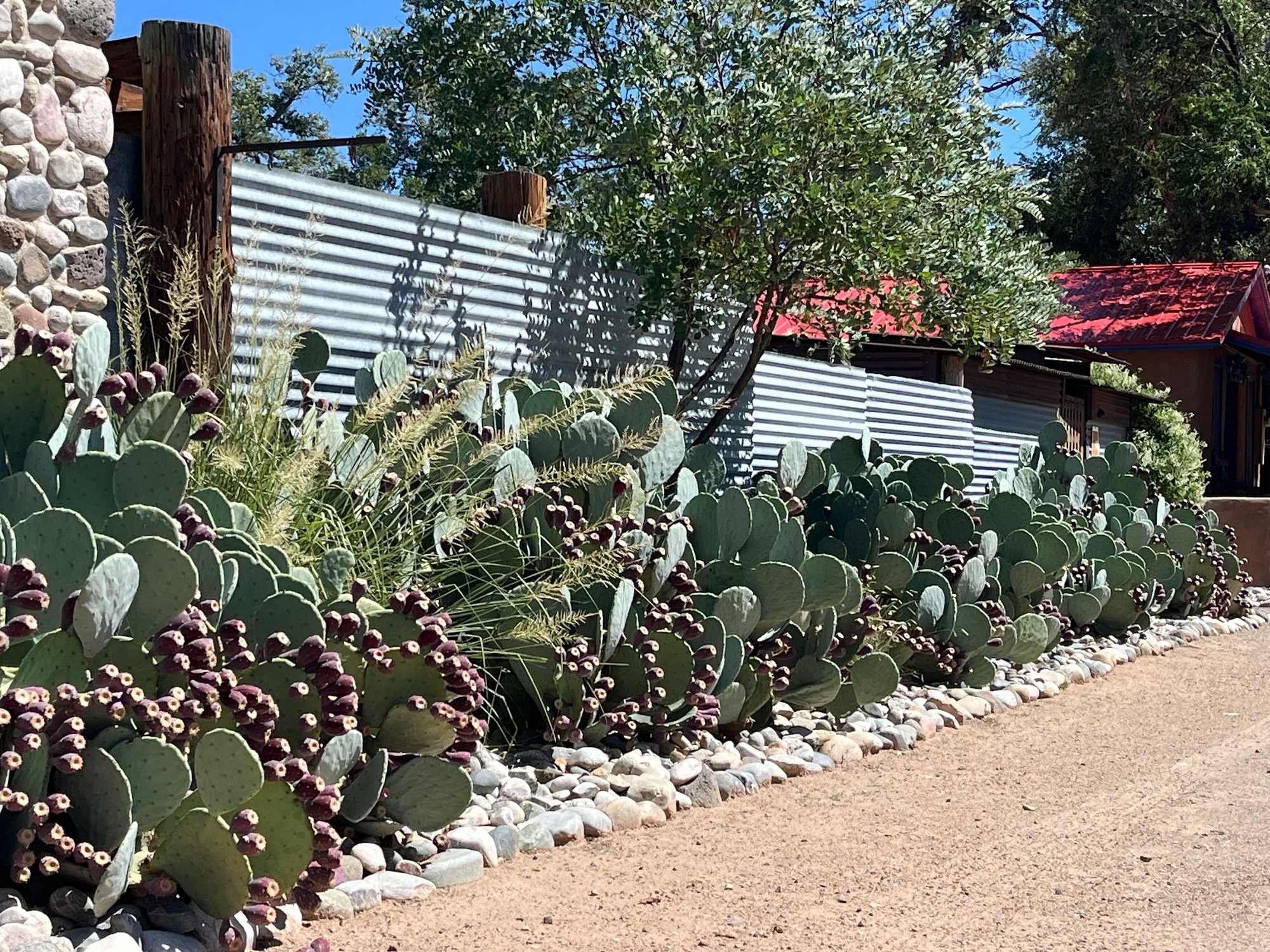 Cerrillos House: 40 Main St