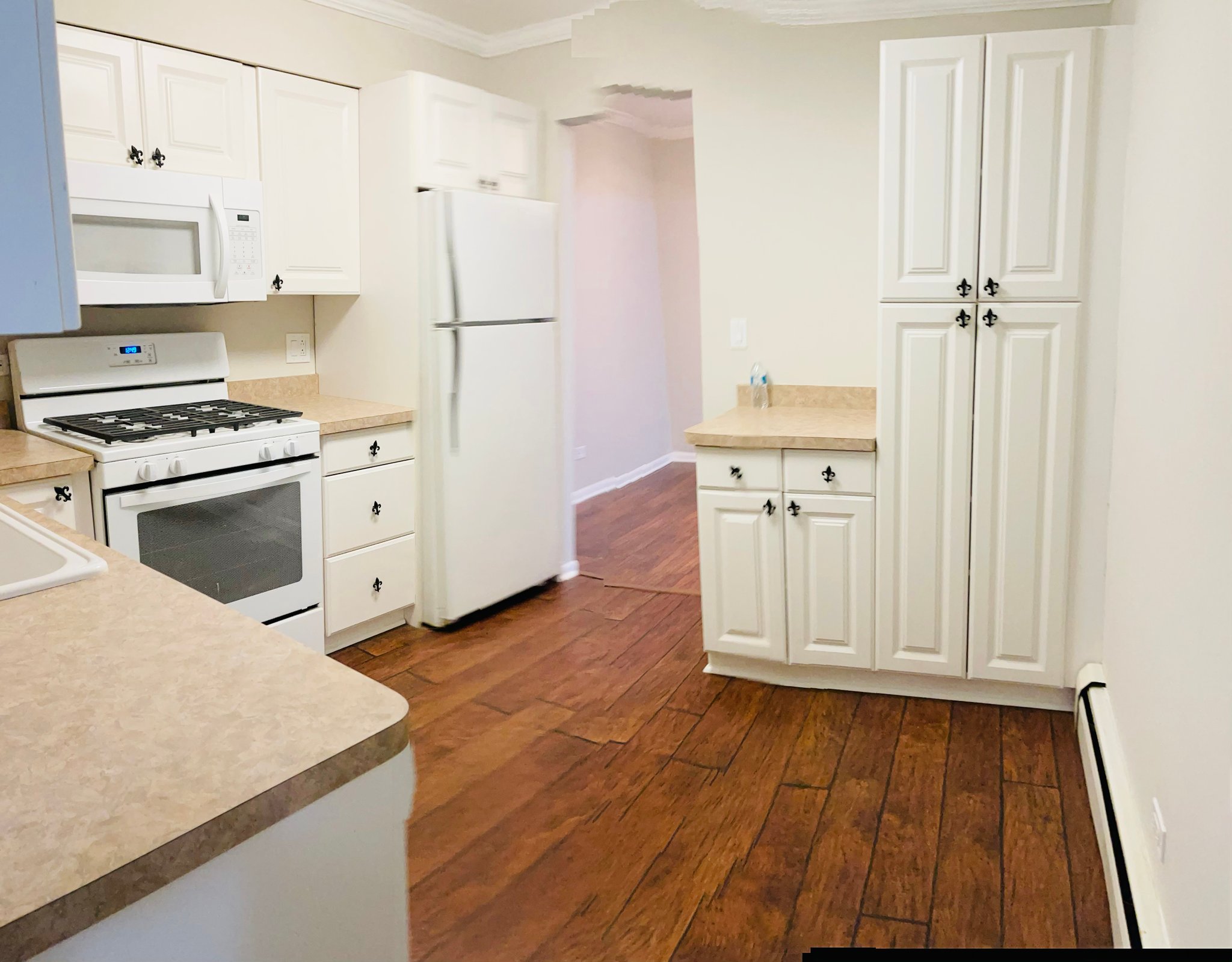 Arlington heights Condo: 1430 N Evergreen Ave