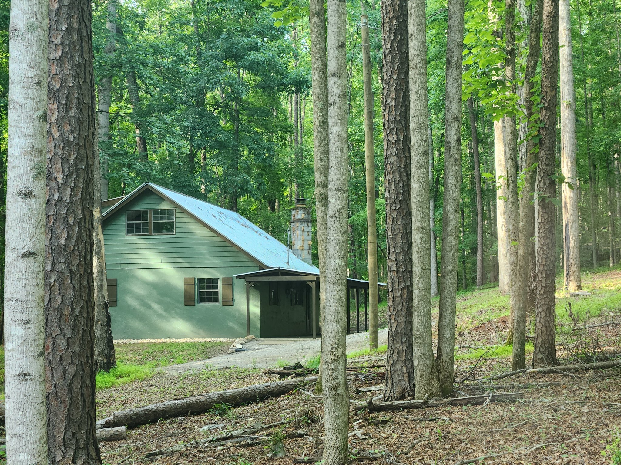 Dahlonega House: 316 Gold Dust Trce
