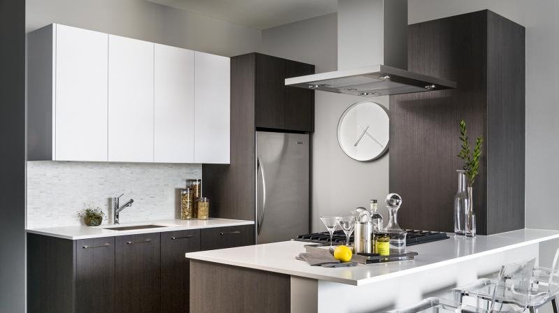 Chicago Condo: 221 North Clark Street