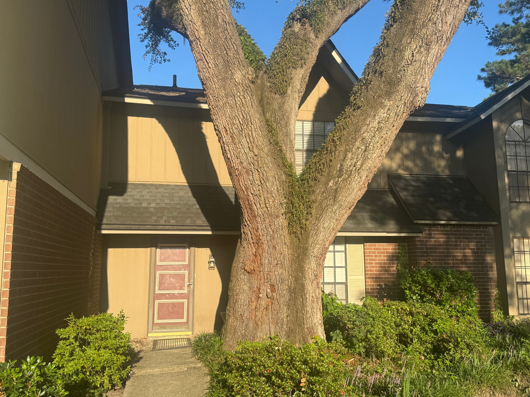 Savannah Townhome: 459 Mall Blvd