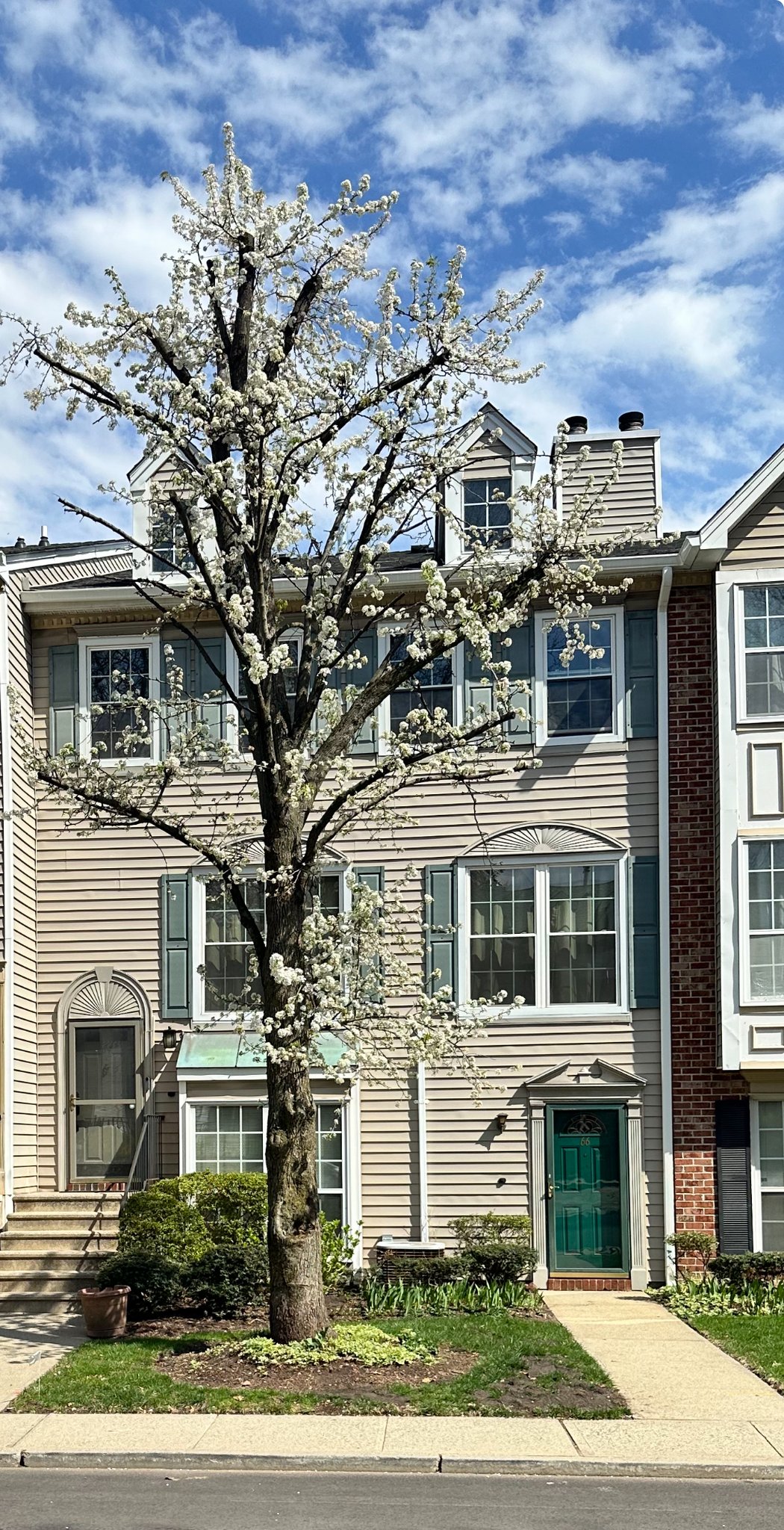 Newark Townhome: 64 Boston St