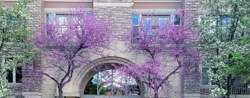Salt Lake City Condo: 5 S 500 W