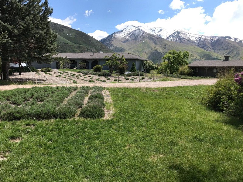 Ogden Single Room: 6360 Borg Cir