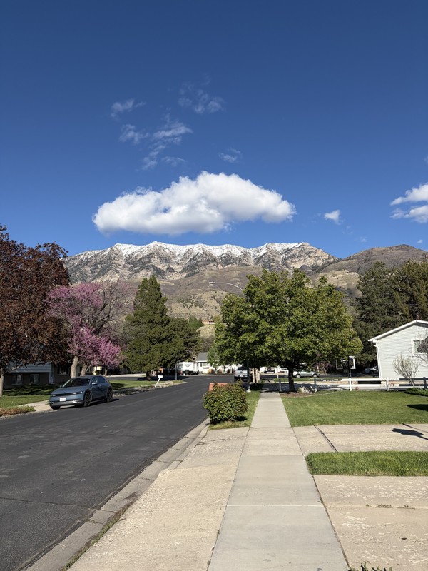 Provo Apartment: 190 E 4380 N
