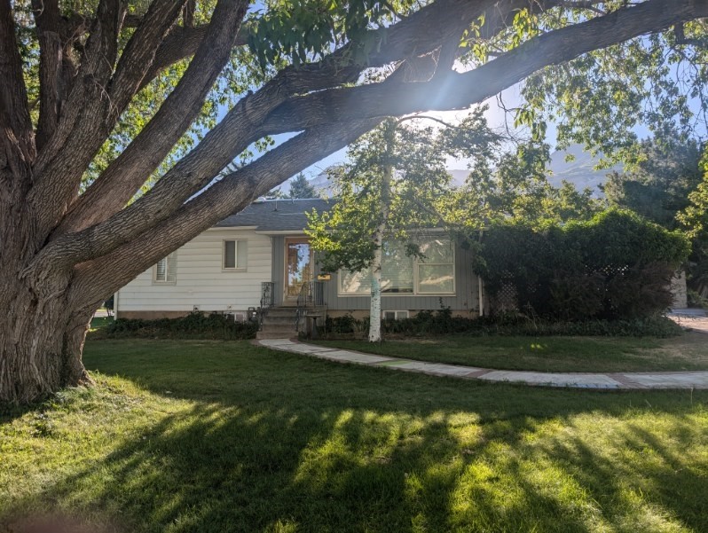 Ogden Multiplex: 3608 Tyler Ave