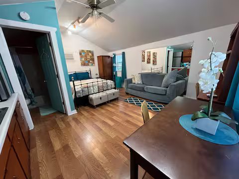 Austin House: 520 East Live Oak Street