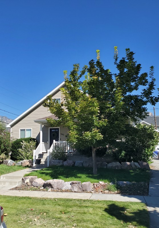 Provo Single Room: 342 N 600 W