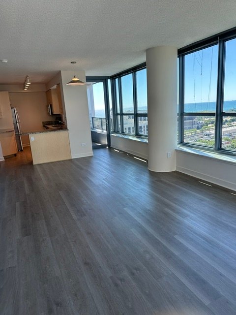 Chicago Condo: 1249 S Michigan Ave