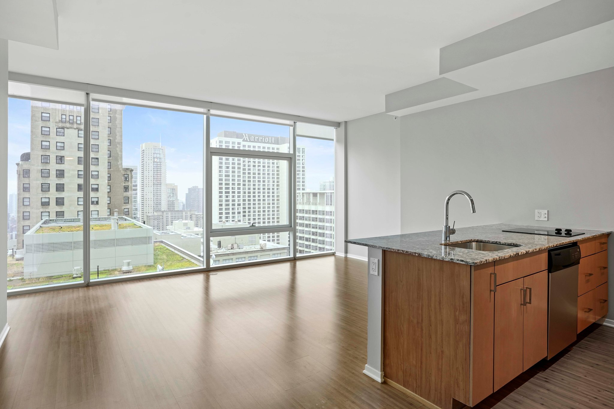 Chicago Condo: 183 E Illinois St