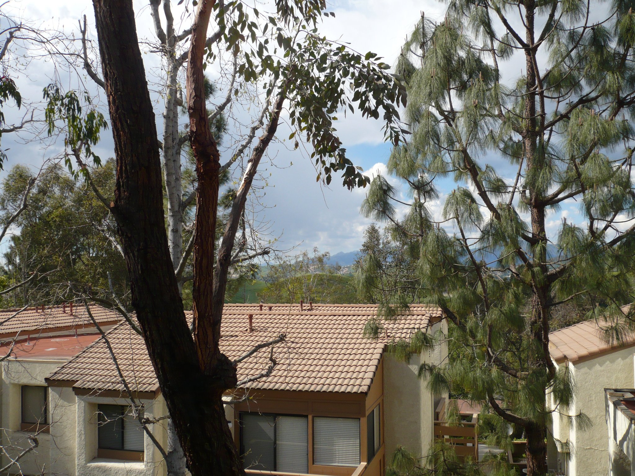 Diamond Bar Condo: 22725 Lakeway Dr