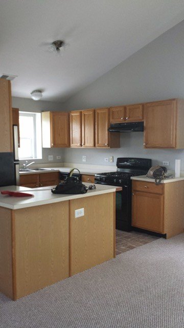 Schaumburg Townhome: 1640 Grove Ave