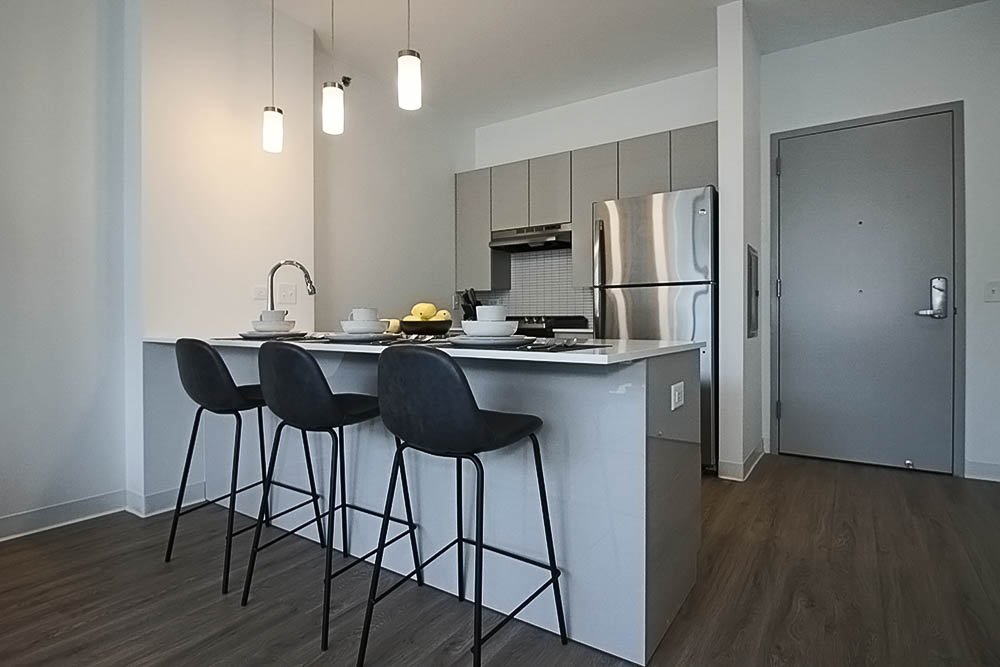 Chicago Condo: 336 South Halsted Street