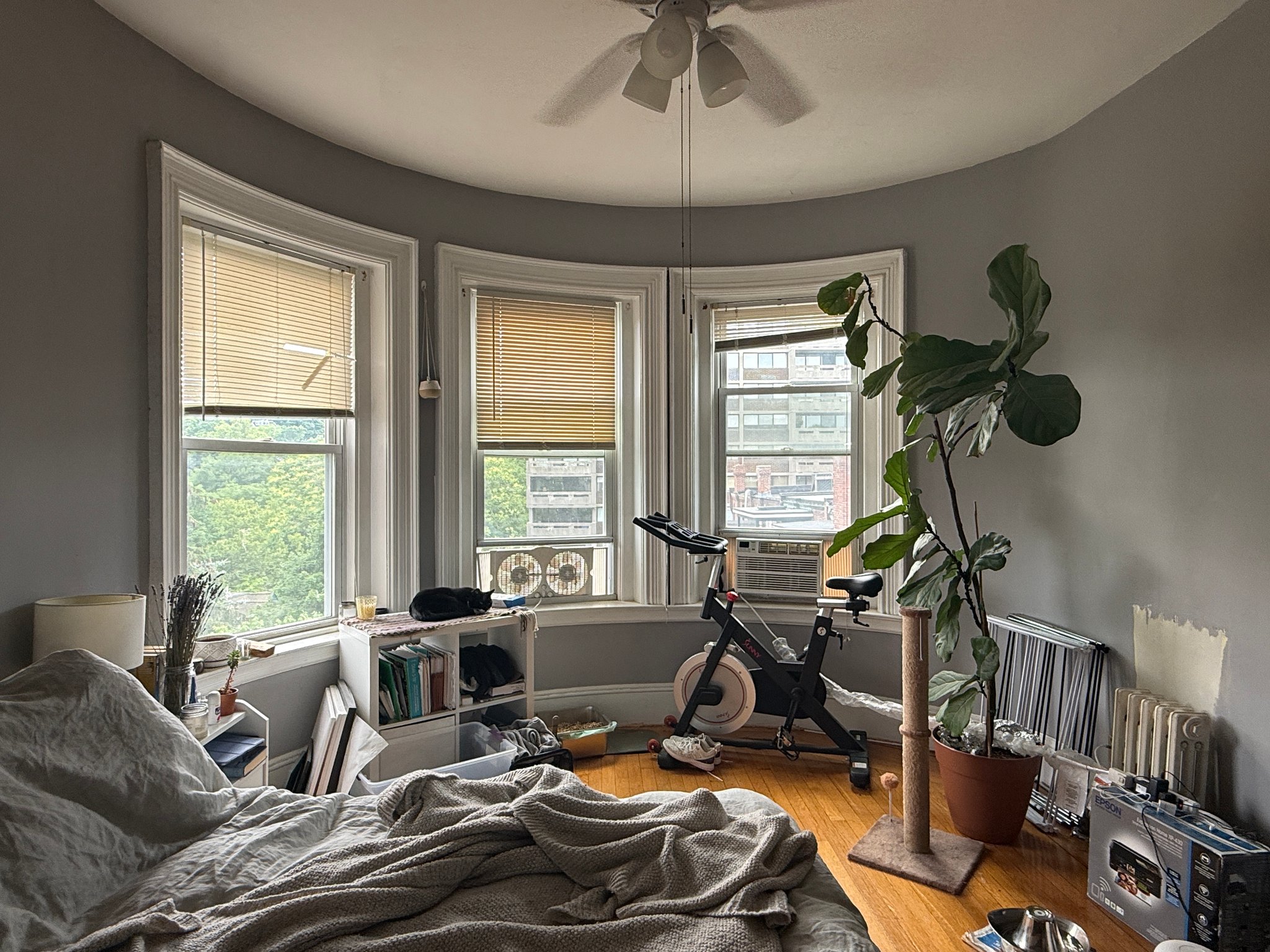 Brookline Apartment: 1477 Beacon St. #43