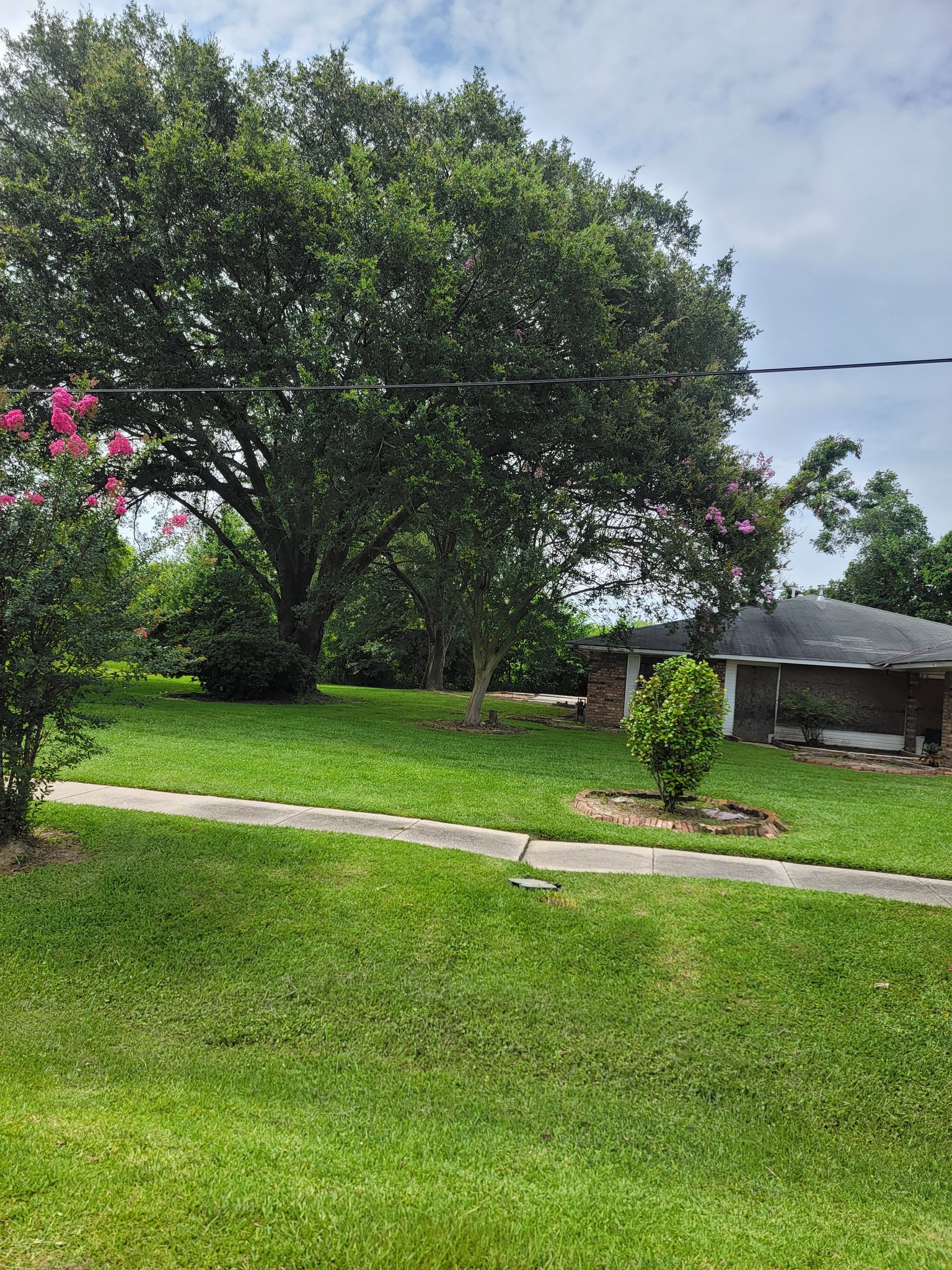 Baton Rouge Single Room: 123 Elmer Avenue