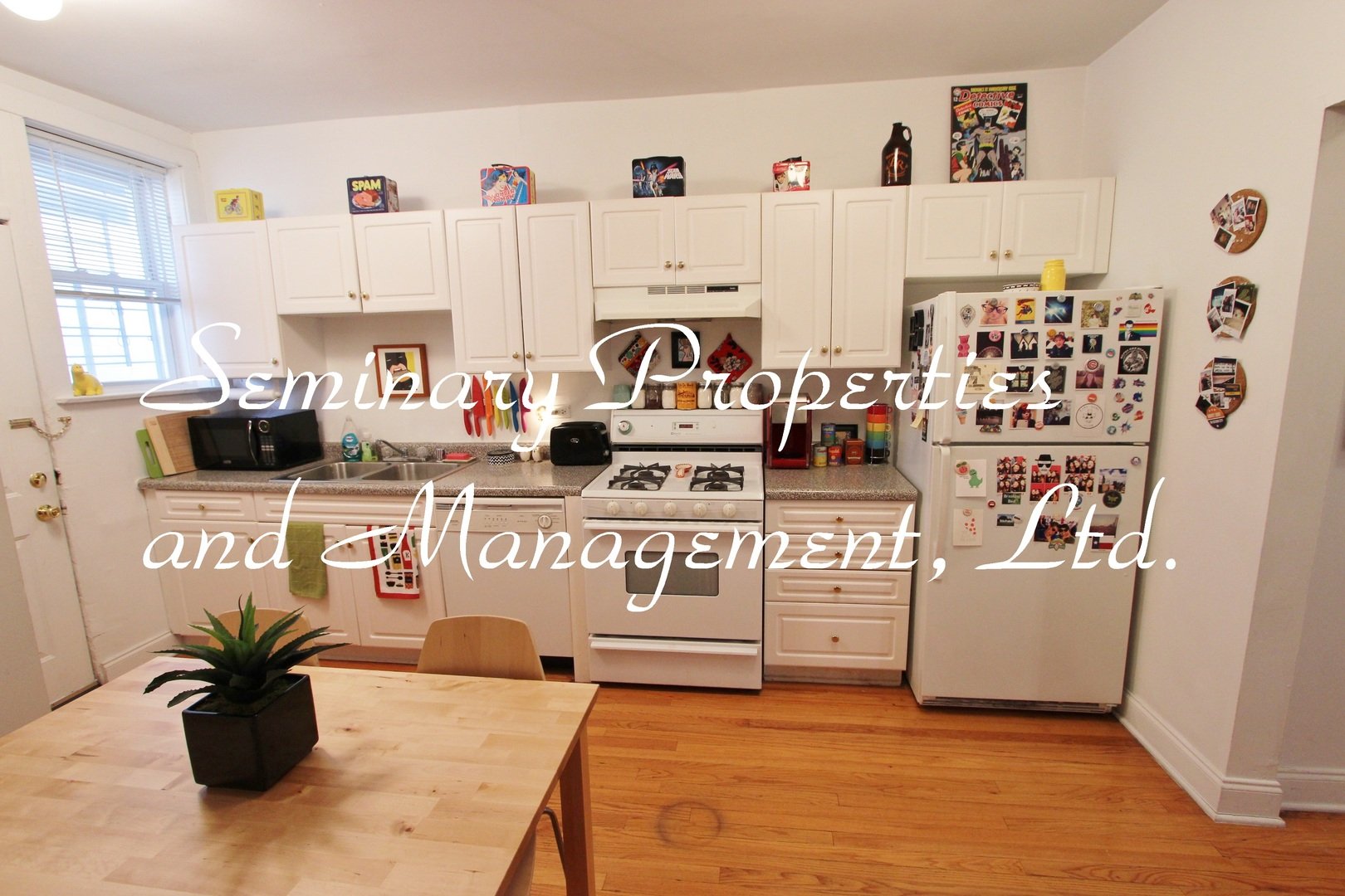 Chicago Apartment: 4407 N Paulina