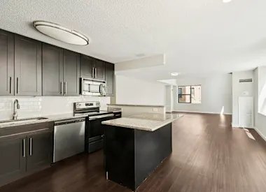 Chicago Condo: 67 W Huron St
