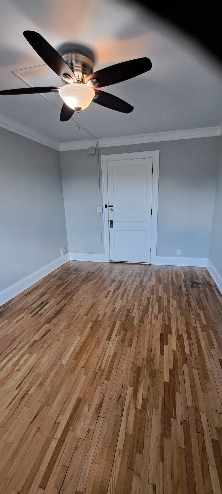 Saint Paul Apartment: 1564 Randolph Ave.