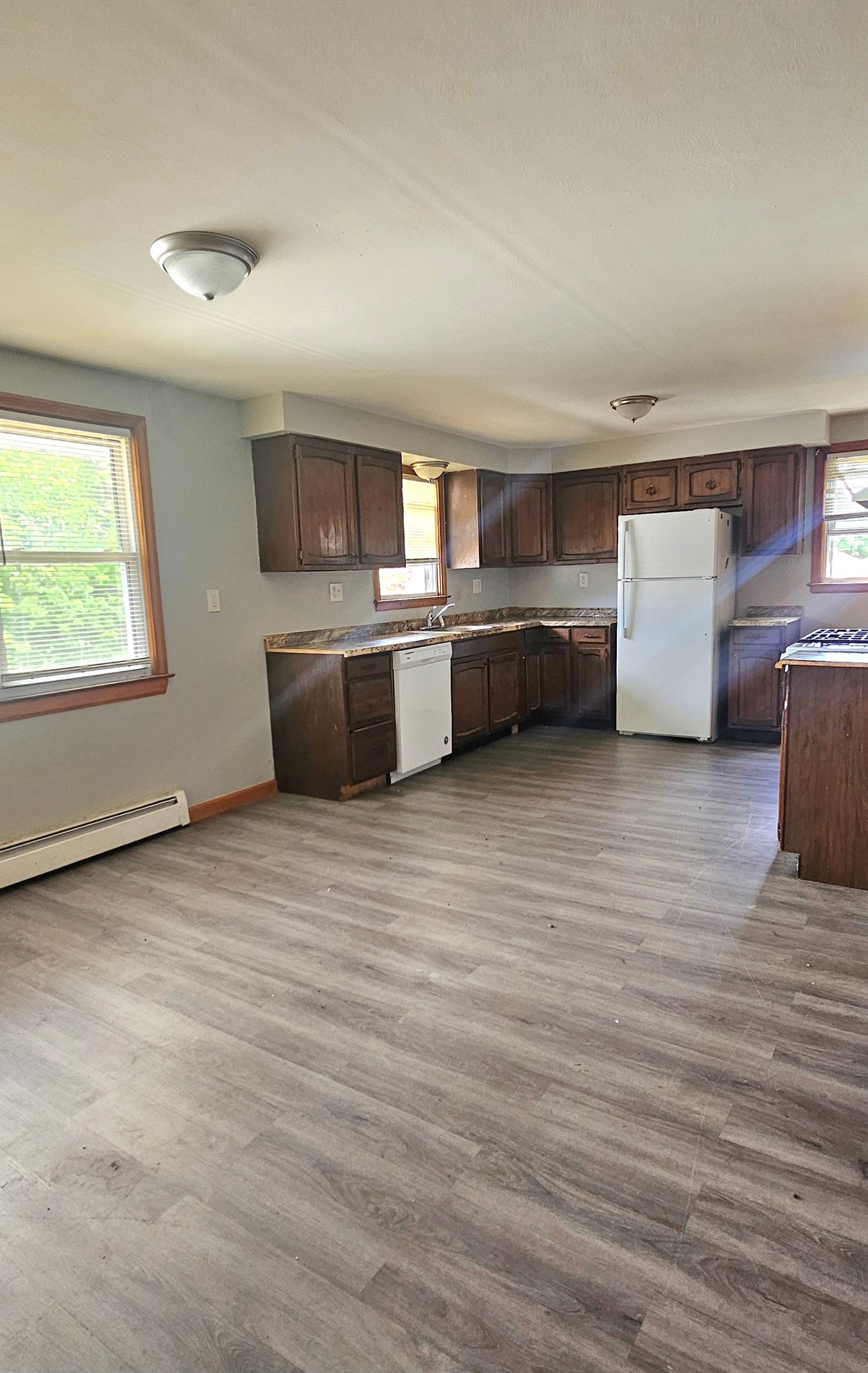 New Haven Apartment: 127 Warner St