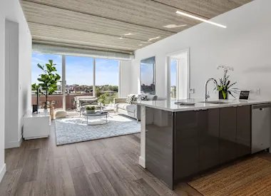 Chicago Condo: 724 W Sheridan Rd