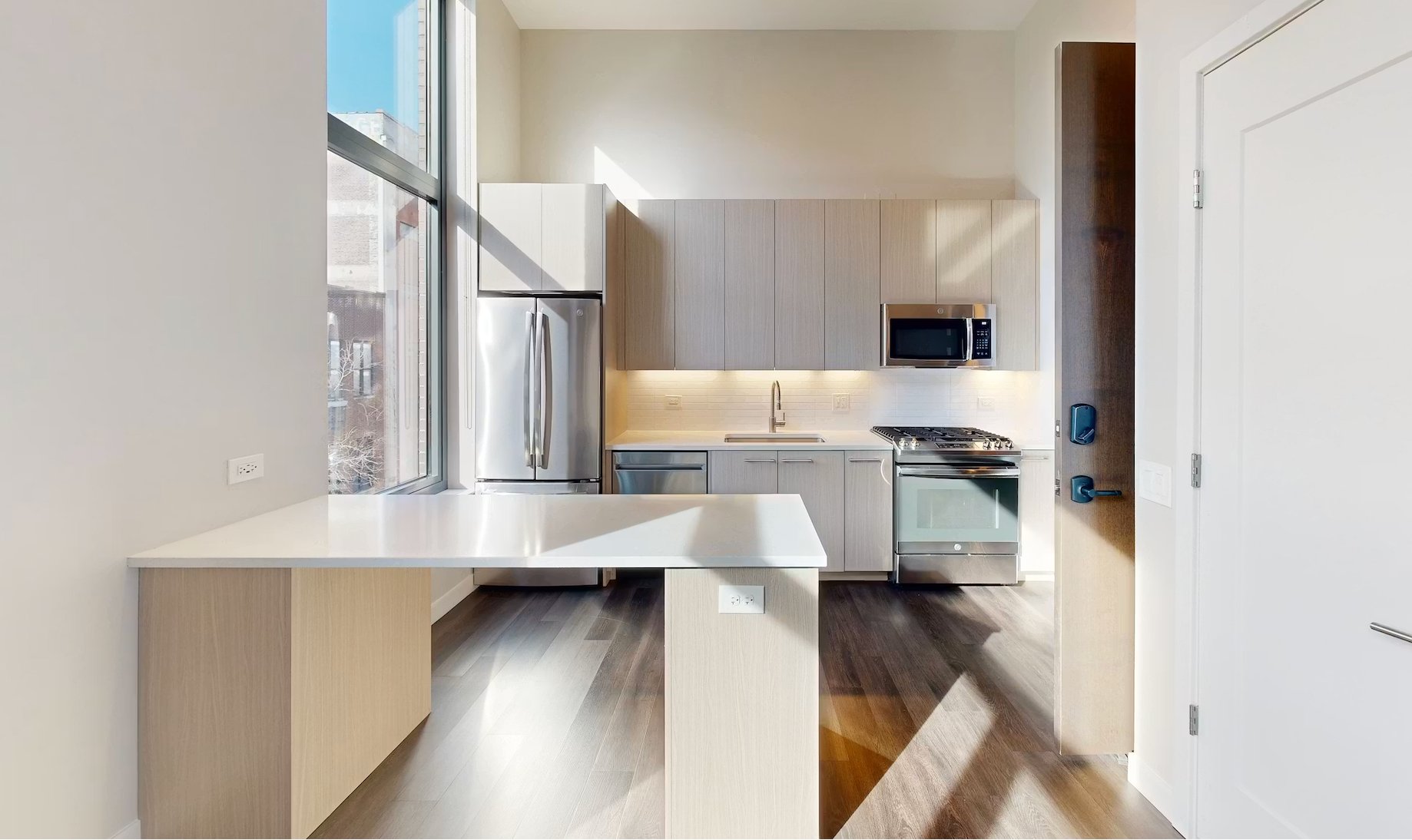 Chicago Condo: 858 W Adams St