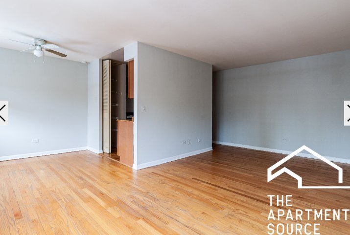 Chicago Condo: 512 West Briar Pl