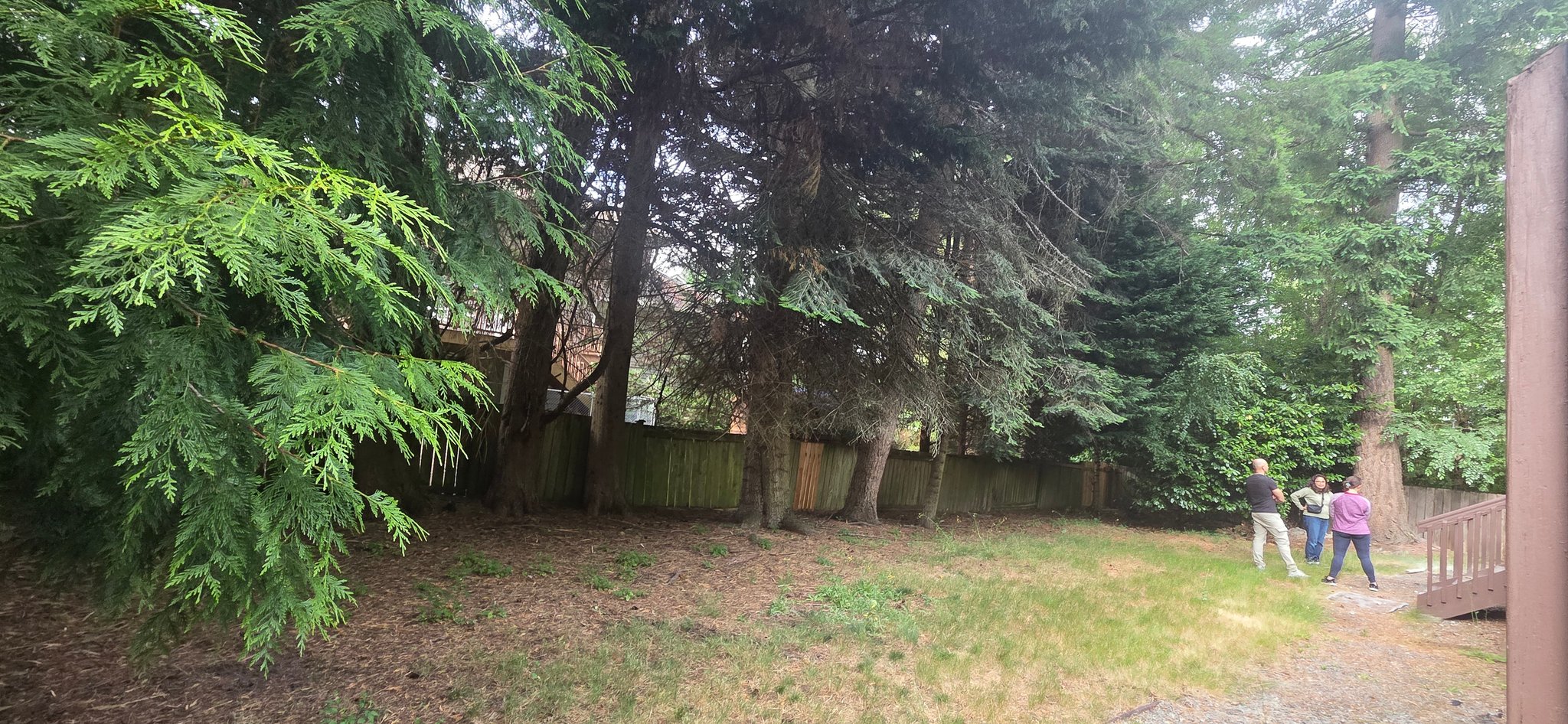 redmond Multiplex: 14112 NE 62nd st