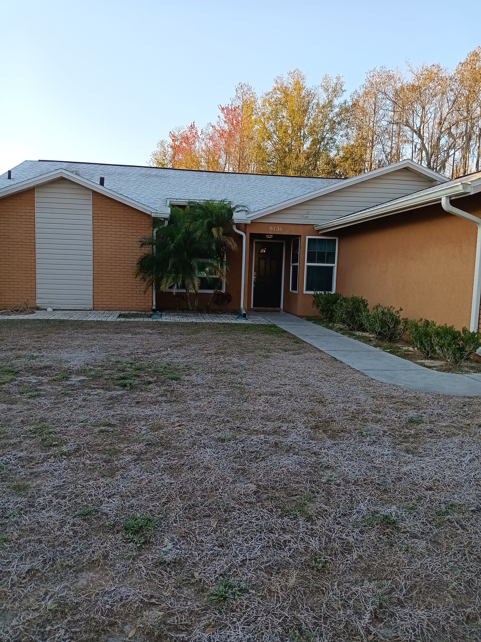 New Port Richey Single Room: 8136 Matthew Drive