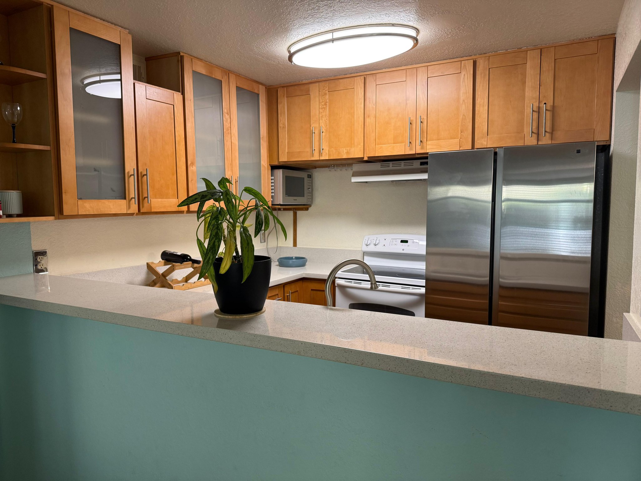 Albany Condo: 535 Pierce street