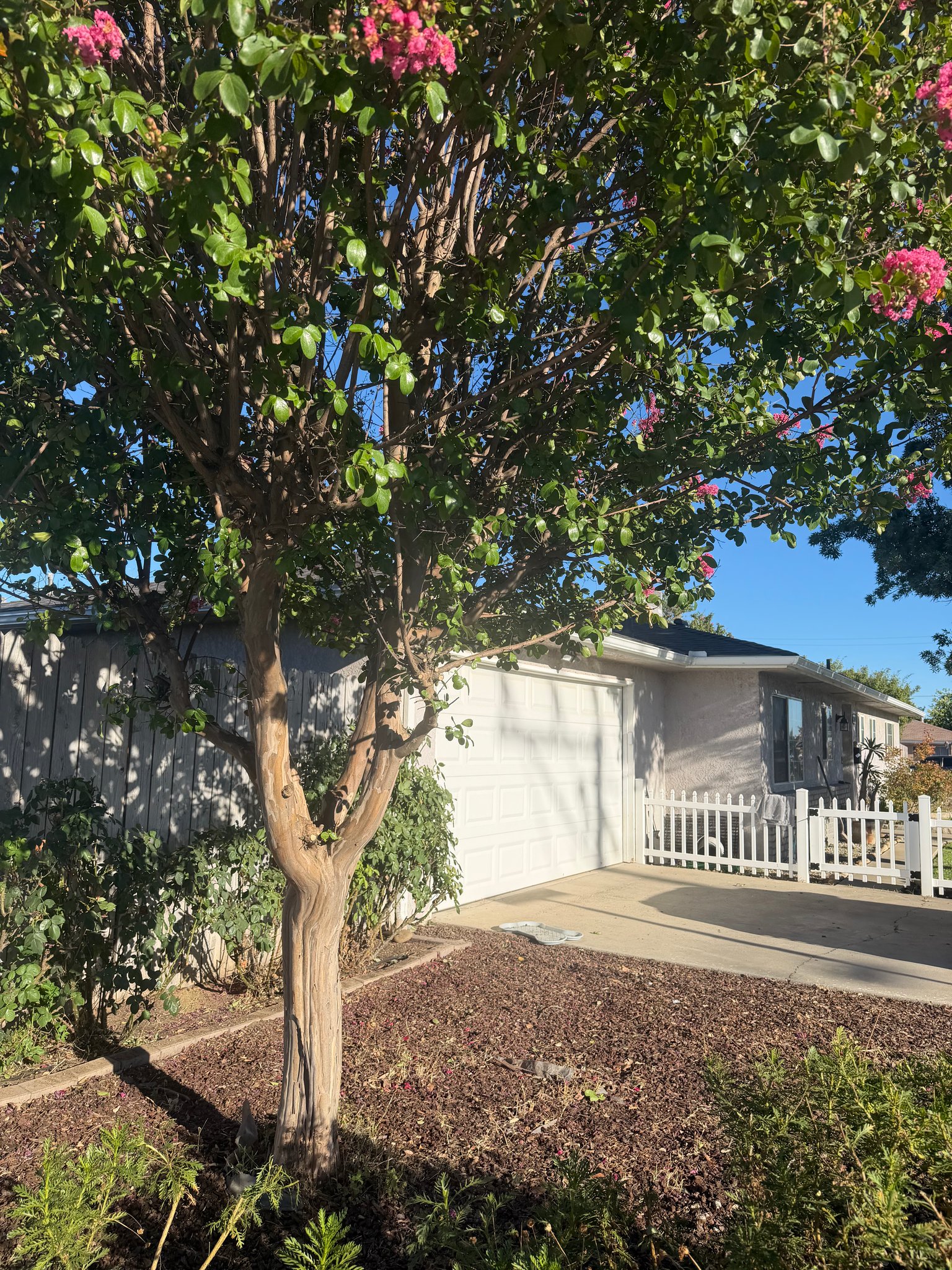 Sanger House: 1214 Bennett Way