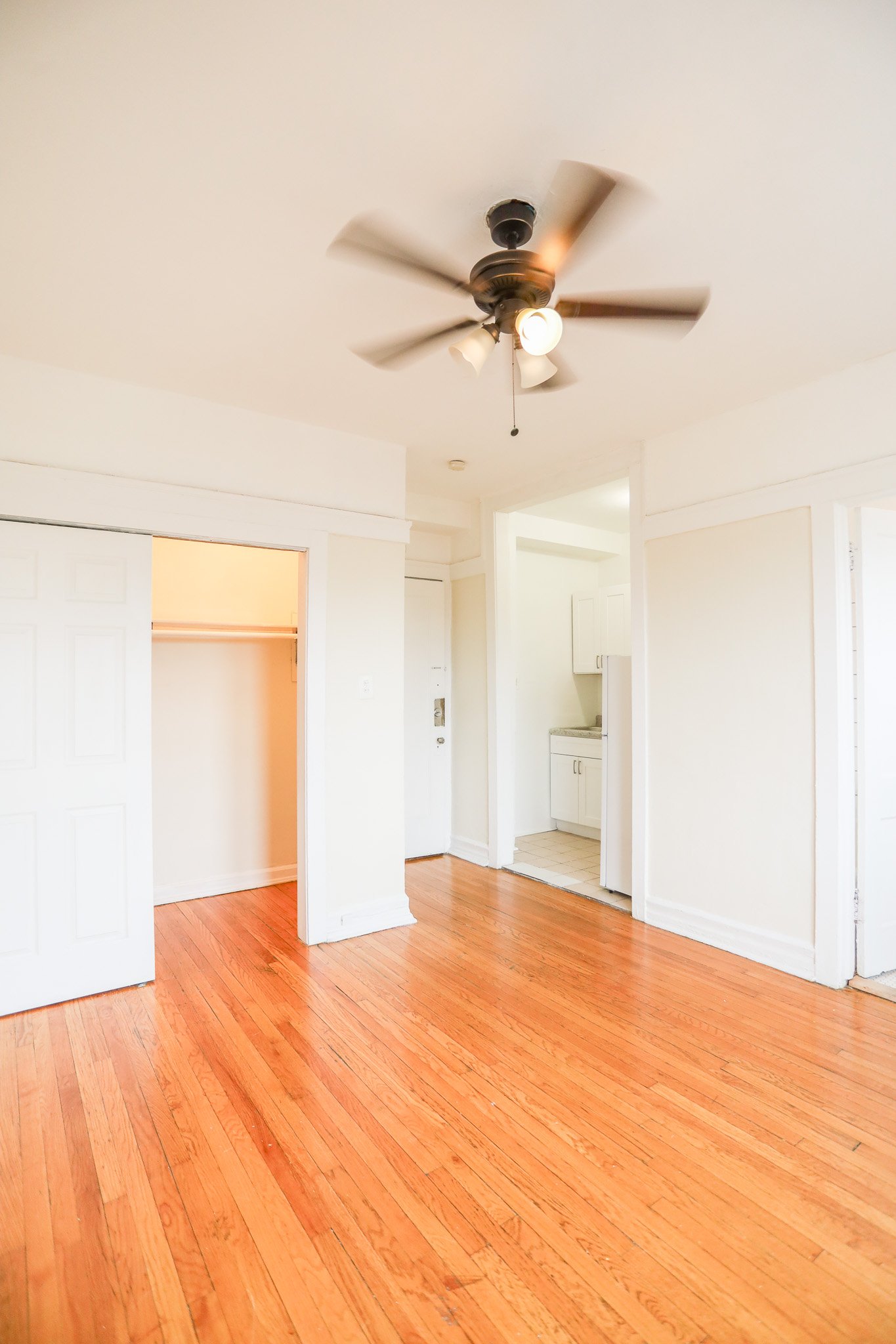 Chicago Apartment: 7455 N Greenview