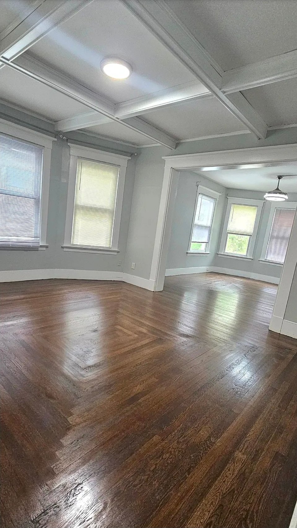 New Haven Apartment: 381 Norton St