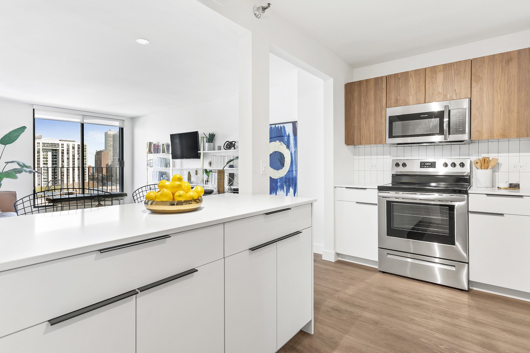 Chicago Condo: 1229 N LaSalle Dr