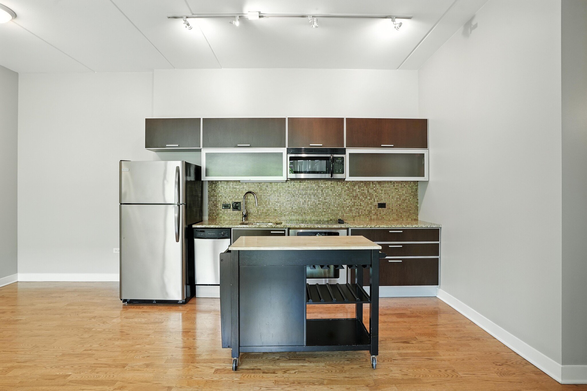 Chicago Condo: 667 W Wayman St