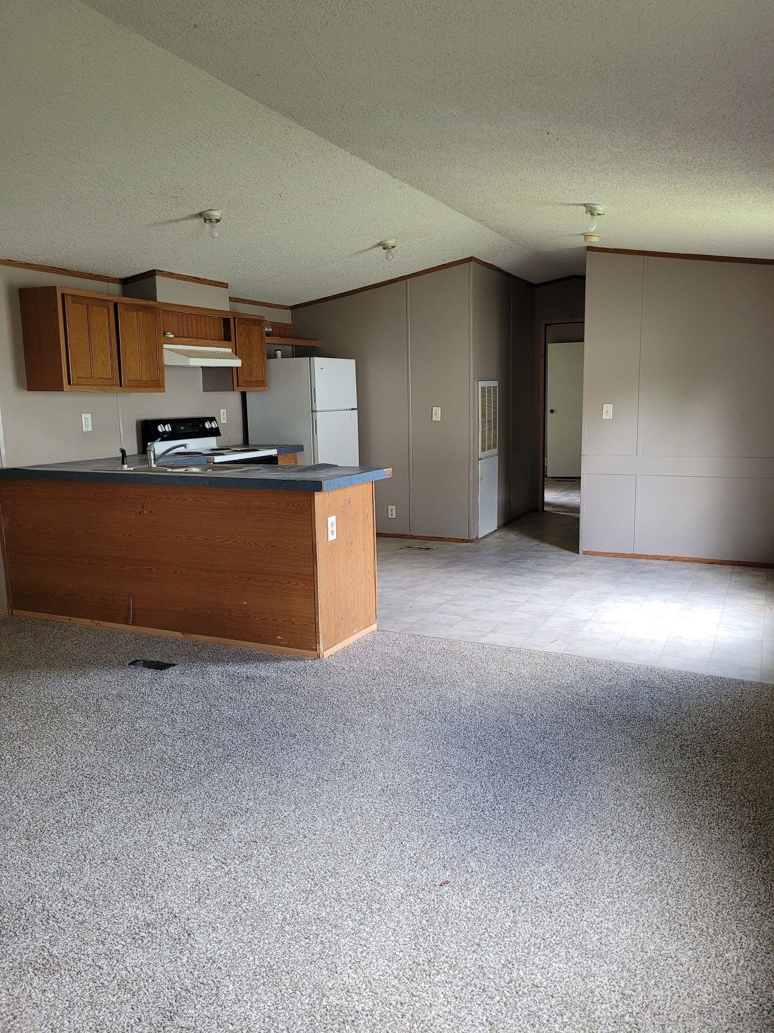 DeRidder House: 458 Petty Street