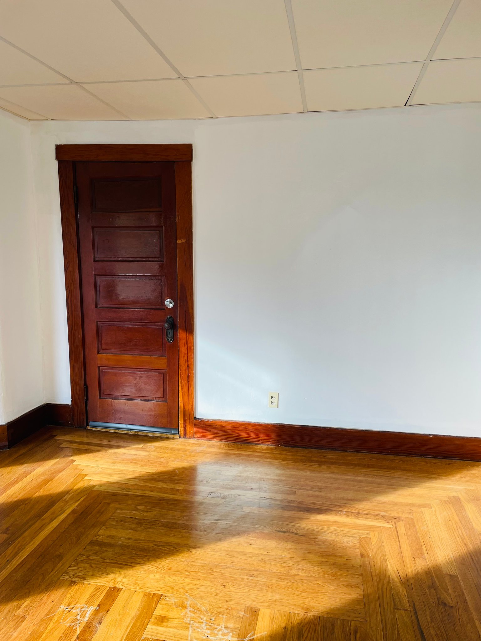 Webster Multiplex: 51 Elm St