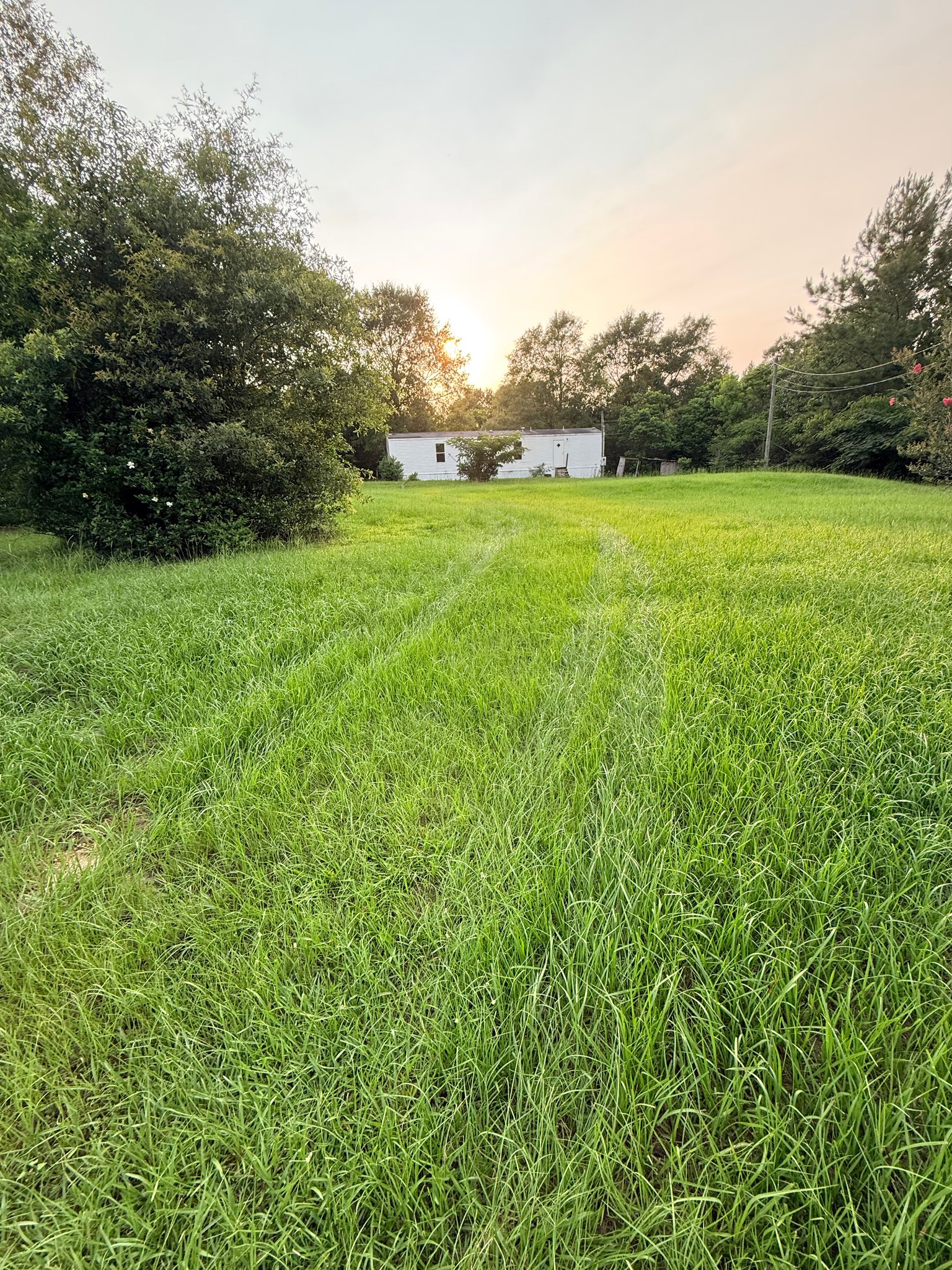 Perkinston House: 1085 ridge rd perkinston ms 39573