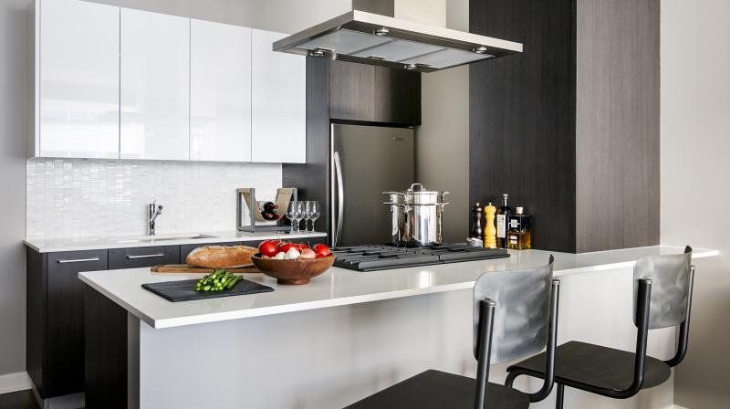 Chicago Condo: 115 West Wacker