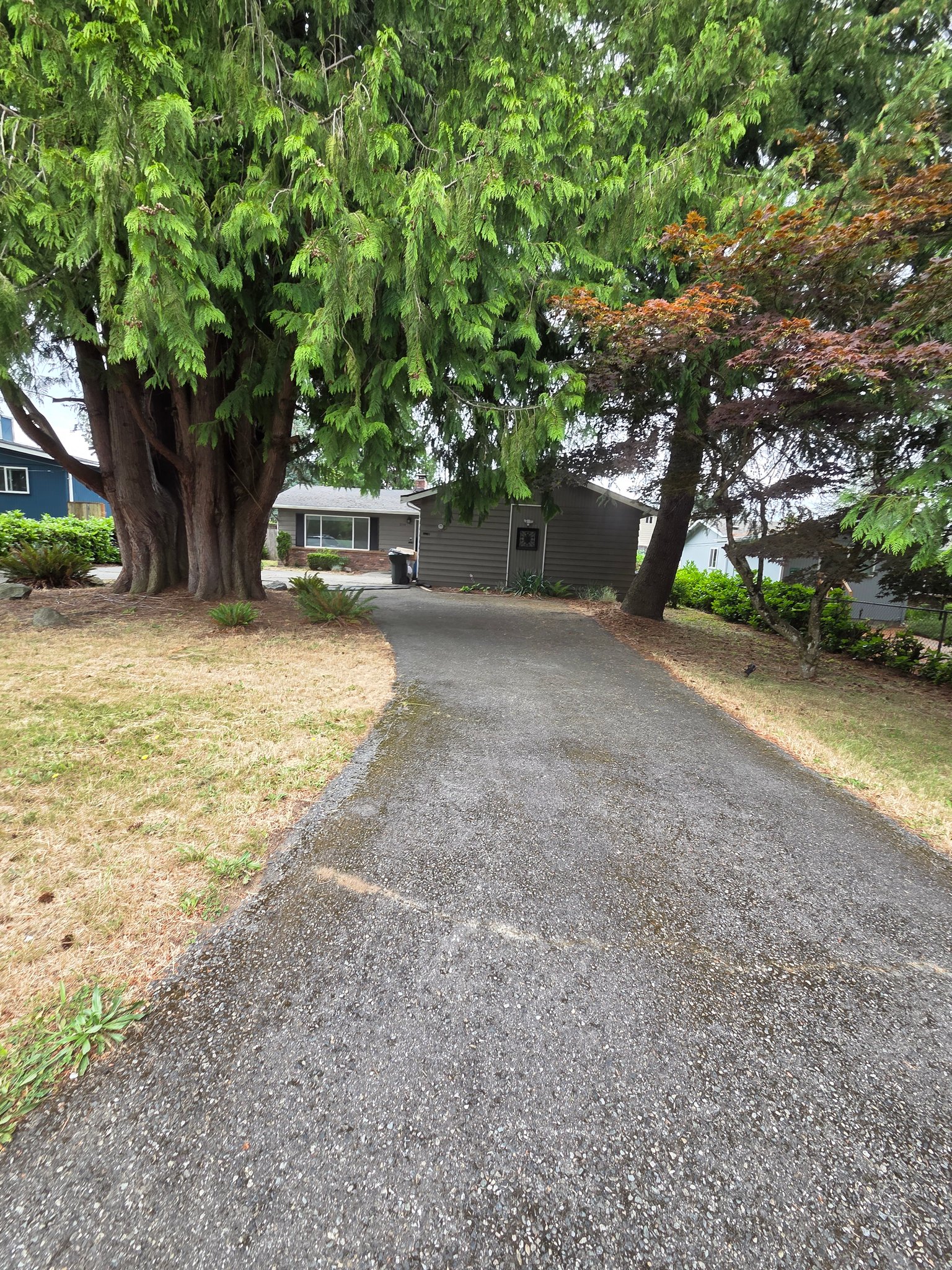 Renton House: 216 Jericho Ave NE