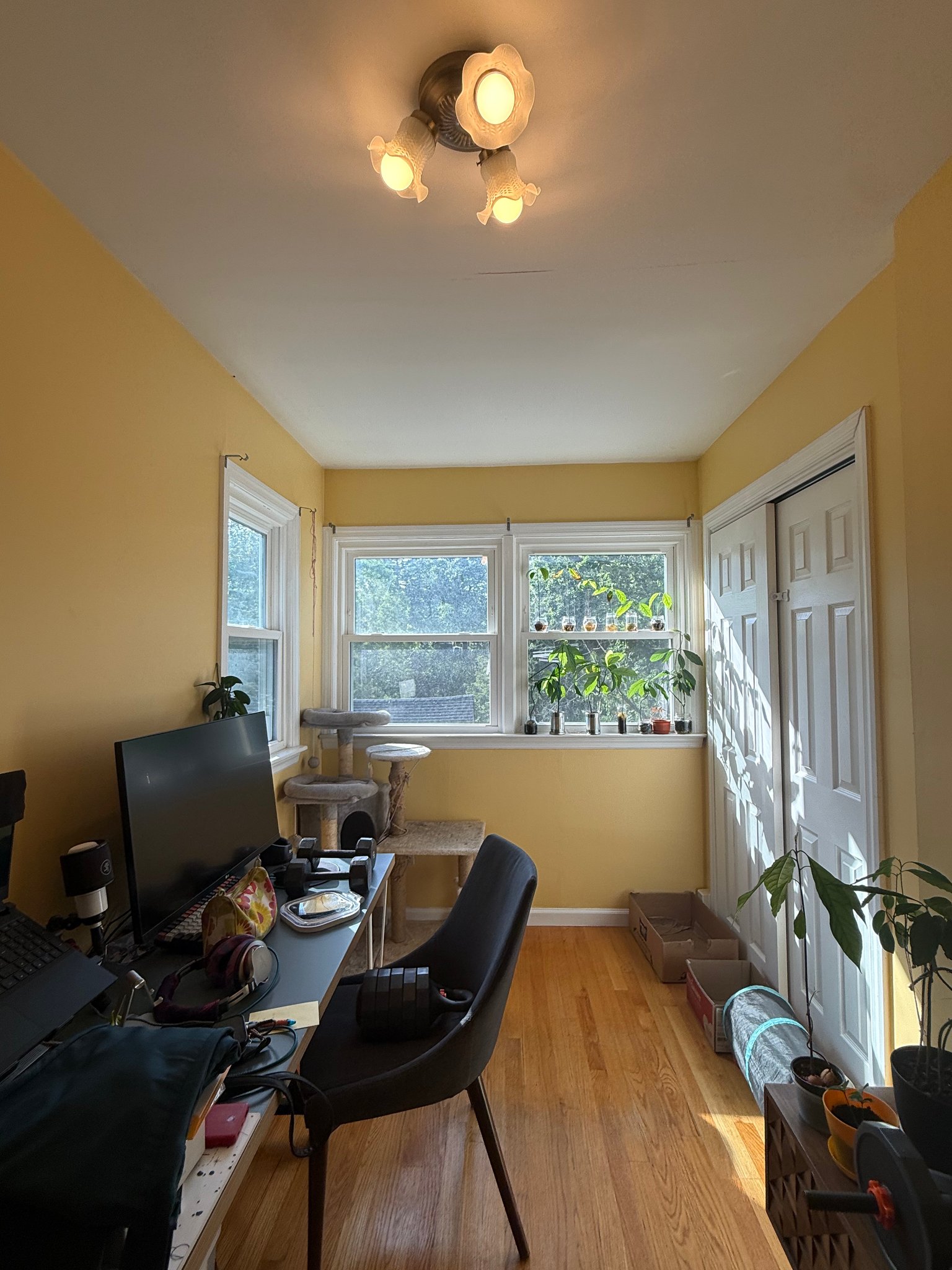 sleepy hollow Apartment: 210 Gordon Ave