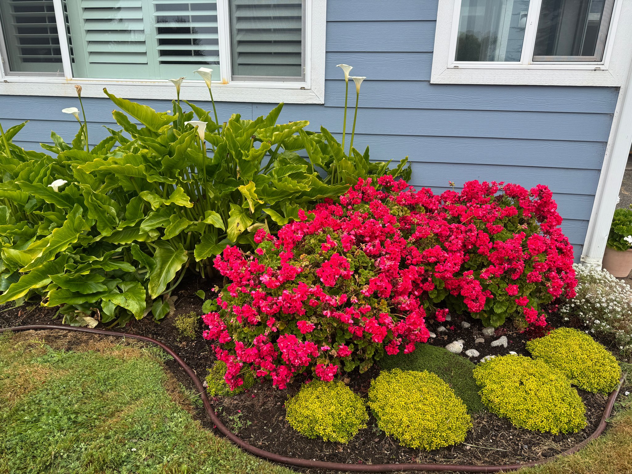 Bandon House: 515 Garfield Ave SW
