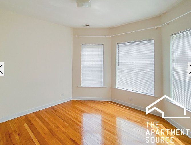 Chicago Condo: 861 West Cornelia Ave