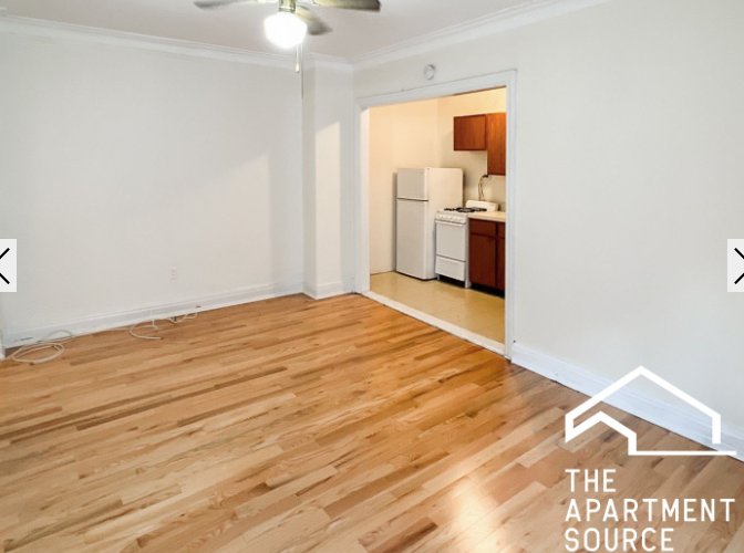 Chicago Condo: 542 West Briar Pl