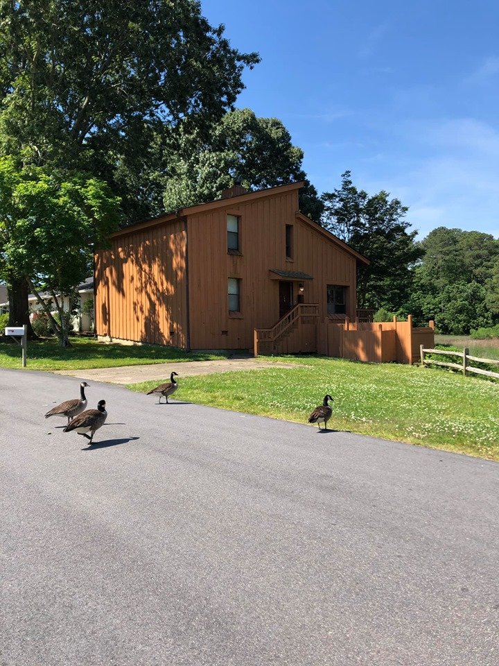 Virginia Beach House: 412 Indian Ave