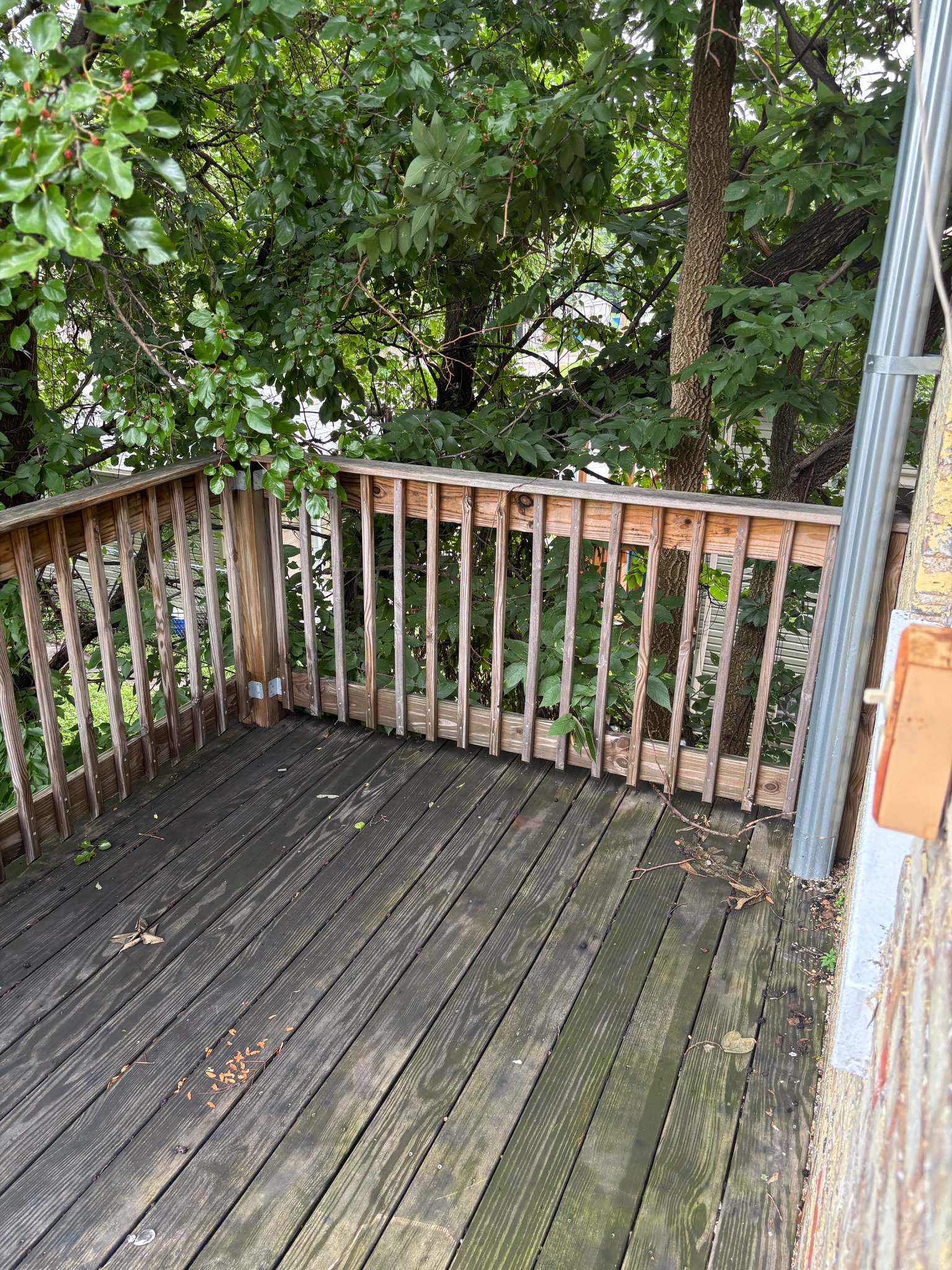 Chicago Apartment: 708 W 61st Pl