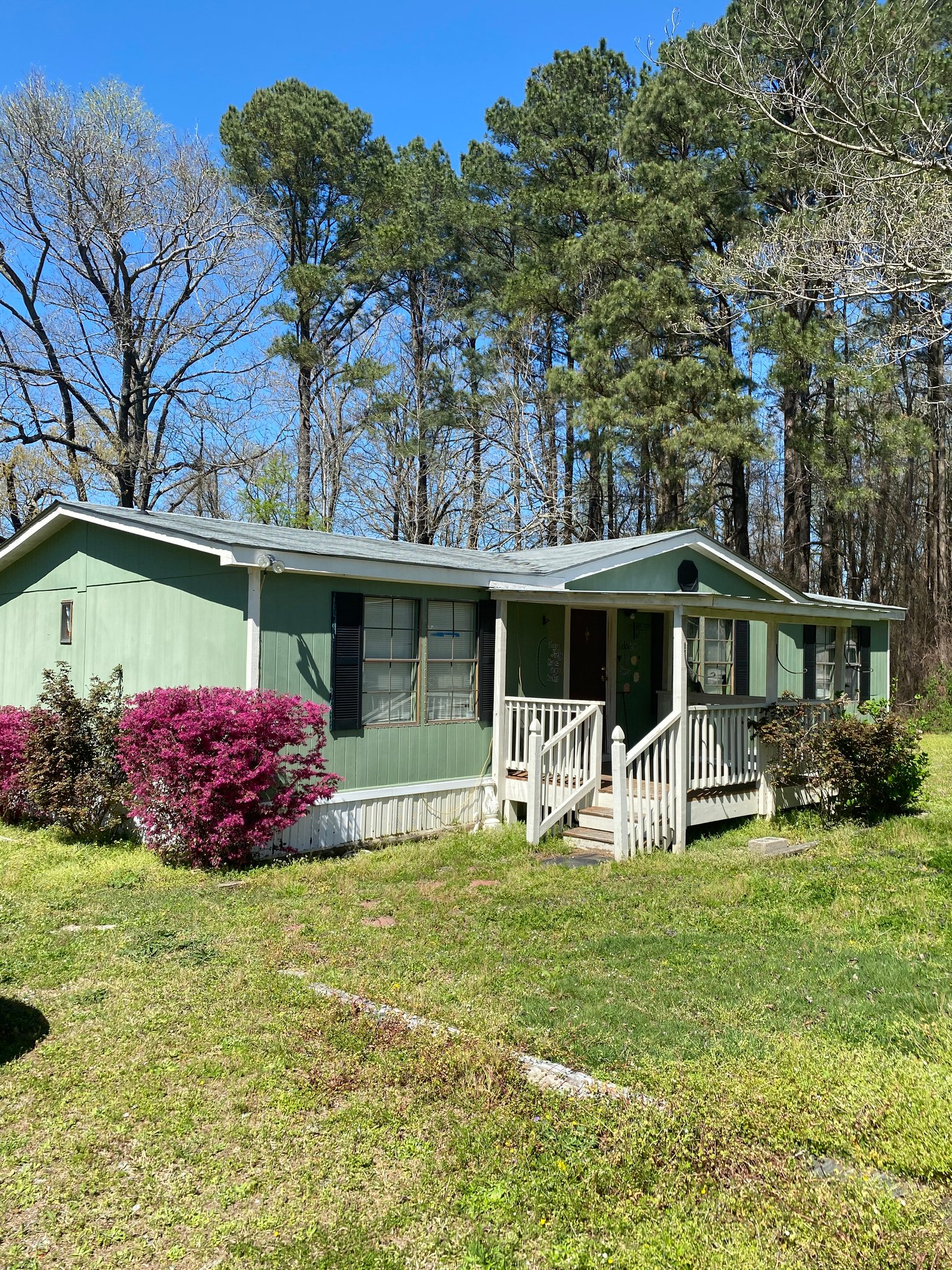 Willow Springs House: 38 Alex St