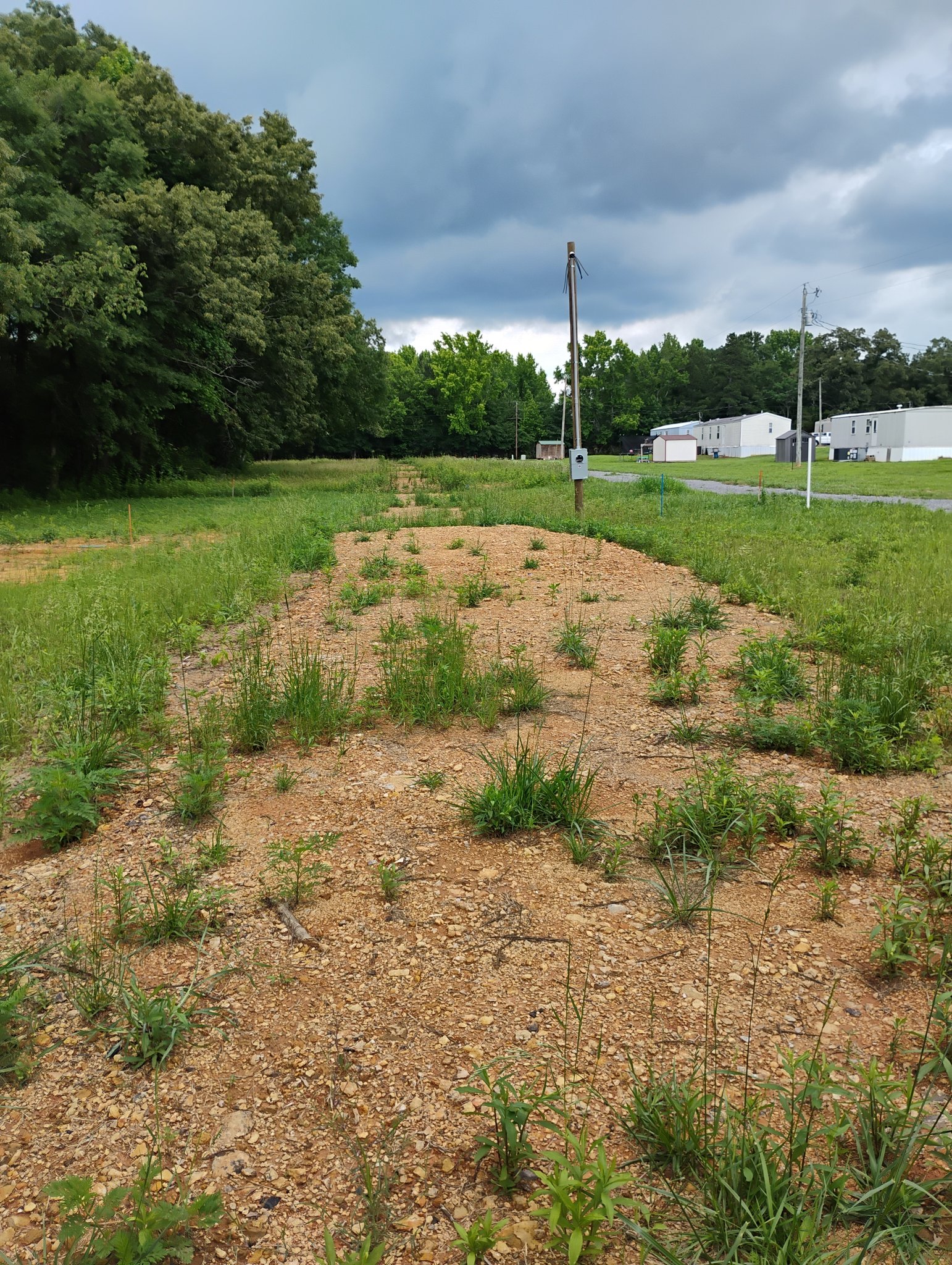 Baileyton Other: 3920 County Road 1570