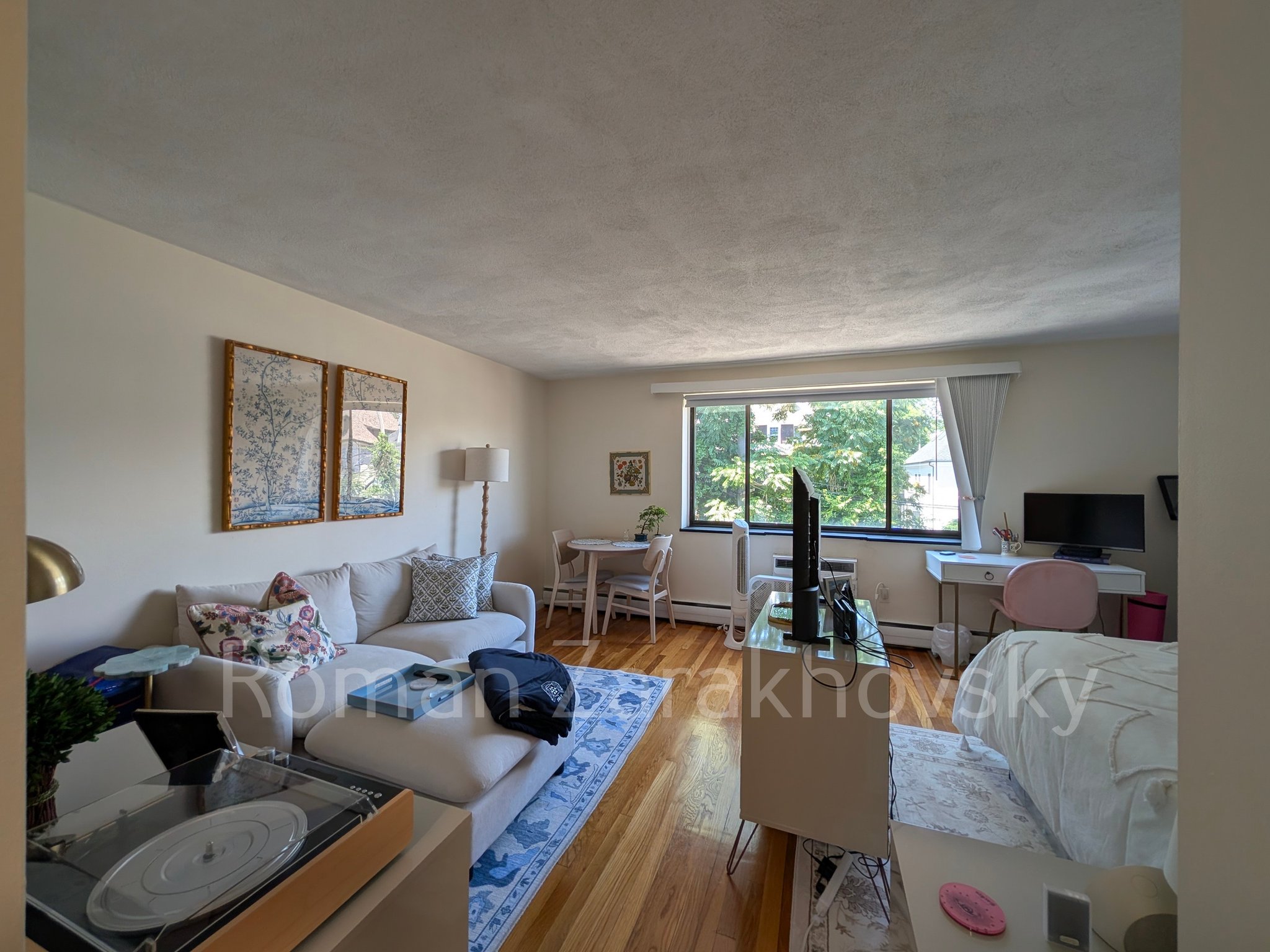Brookline Apartment: 226 Babcock St